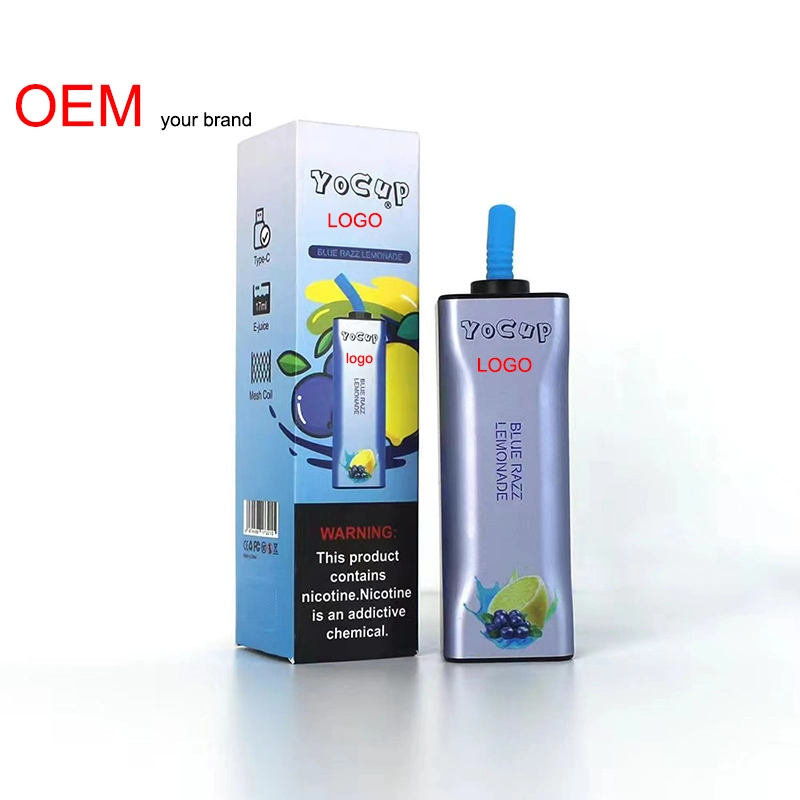 Pen Hookah 8000puffs High Capacity OEM Wholesale Disposable E-Cigarettes 5% Nicotine Vape Wholesale